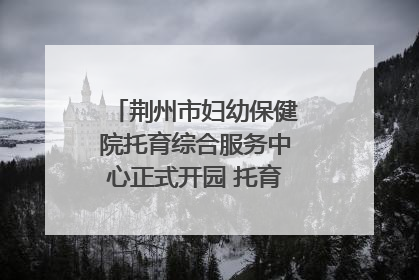 荆州市妇幼保健院托育综合服务中心正式开园 托育宣传月同步启动