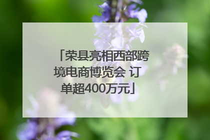 荣县亮相西部跨境电商博览会 订单超400万元