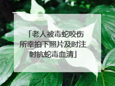 老人被毒蛇咬伤 所幸拍下照片及时注射抗蛇毒血清