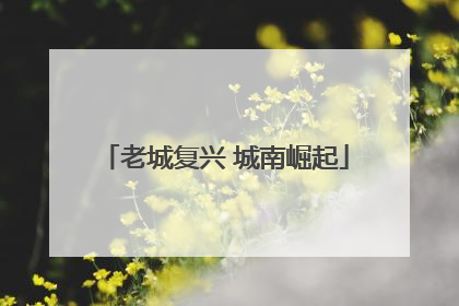 老城复兴 城南崛起
