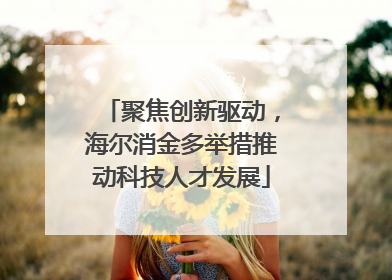 聚焦创新驱动，海尔消金多举措推动科技人才发展