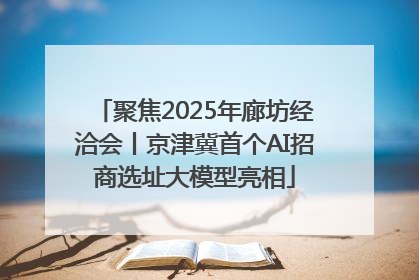 聚焦2025年廊坊经洽会丨京津冀首个AI招商选址大模型亮相