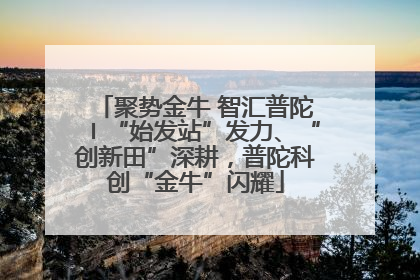 聚势金牛 智汇普陀〡“始发站”发力、“创新田”深耕，普陀科创“金牛”闪耀