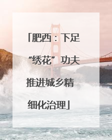 肥西：下足“绣花”功夫 推进城乡精细化治理