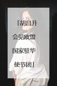 胡昌升会见欧盟国家驻华使节团