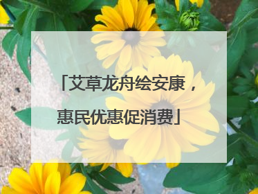 艾草龙舟绘安康，惠民优惠促消费