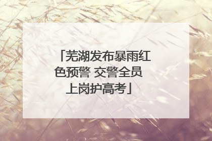 芜湖发布暴雨红色预警 交警全员上岗护高考