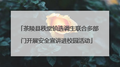 茶陵县秩堂镇选调生联合多部门开展安全宣讲进校园活动