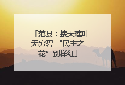 范县：接天莲叶无穷碧 “民主之花”别样红