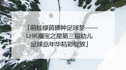 萌娃绿茵播种足球梦——LHK福宝之星第三届幼儿足球嘉年华精彩绽放