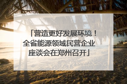 营造更好发展环境！全省能源领域民营企业座谈会在郑州召开