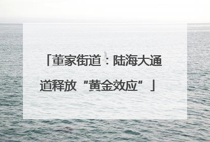 董家街道：陆海大通道释放“黄金效应”