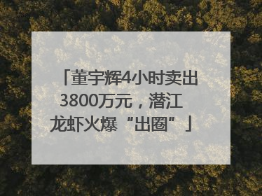 董宇辉4小时卖出3800万元，潜江龙虾火爆“出圈”