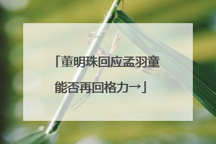 董明珠回应孟羽童能否再回格力→