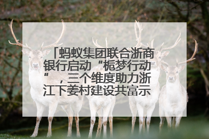 蚂蚁集团联合浙商银行启动“栀梦行动”，三个维度助力浙江下姜村建设共富示范区示范点
