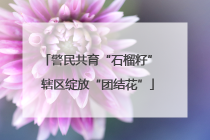 警民共育“石榴籽” 辖区绽放“团结花”