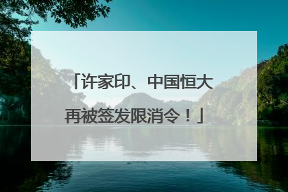 许家印、中国恒大再被签发限消令！