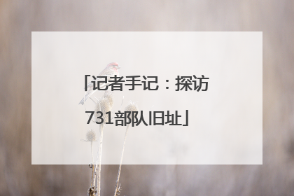 记者手记：探访731部队旧址