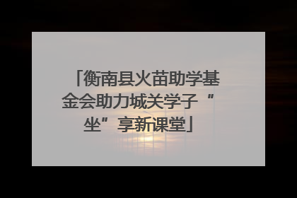 衡南县火苗助学基金会助力城关学子“坐”享新课堂