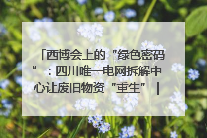 西博会上的“绿色密码”：四川唯一电网拆解中心让废旧物资“重生”｜西博寻“新”记