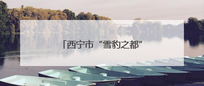 西宁市“雪豹之都”生态摄影展征稿启事