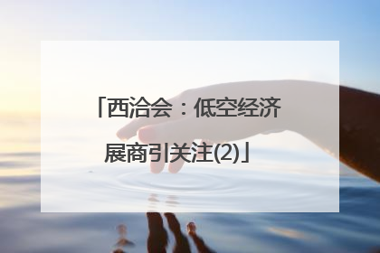 西洽会：低空经济展商引关注(2)