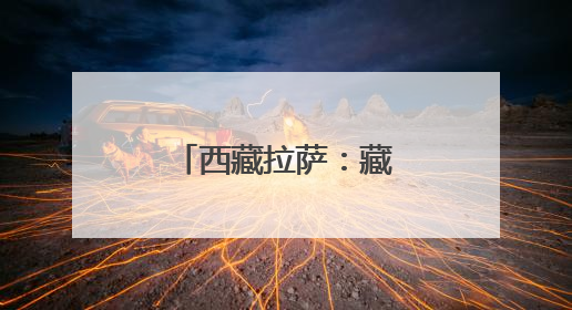 西藏拉萨：藏马鸡林间觅食
