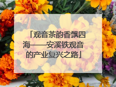 观音茶韵香飘四海——安溪铁观音的产业复兴之路