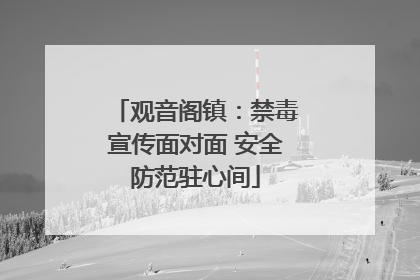 观音阁镇：禁毒宣传面对面 安全防范驻心间