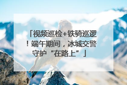 视频巡检+铁骑巡逻！端午期间，冰城交警守护“在路上”