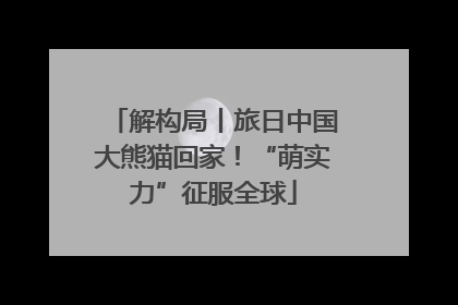 解构局丨旅日中国大熊猫回家！“萌实力”征服全球