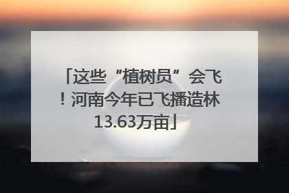 这些“植树员”会飞！河南今年已飞播造林13.63万亩