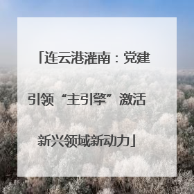 连云港灌南：党建引领“主引擎”激活新兴领域新动力