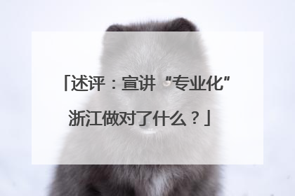 述评：宣讲“专业化” 浙江做对了什么？