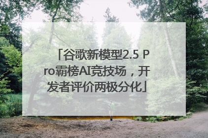谷歌新模型2.5 Pro霸榜AI竞技场，开发者评价两极分化