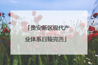 贵安新区现代产业体系日臻完善