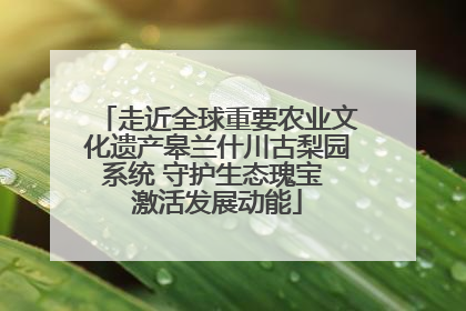 走近全球重要农业文化遗产皋兰什川古梨园系统 守护生态瑰宝 激活发展动能