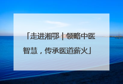走进湘鄂｜领略中医智慧，传承医道薪火