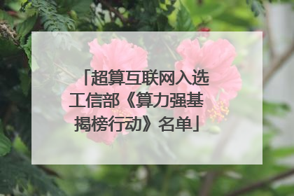 超算互联网入选工信部《算力强基揭榜行动》名单