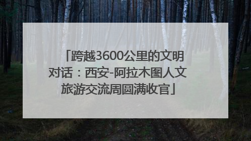 跨越3600公里的文明对话：西安-阿拉木图人文旅游交流周圆满收官