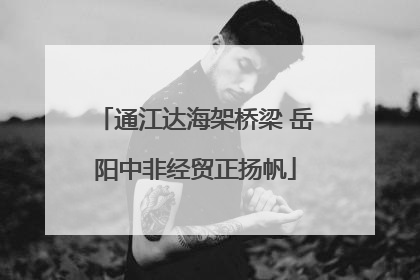 通江达海架桥梁 岳阳中非经贸正扬帆