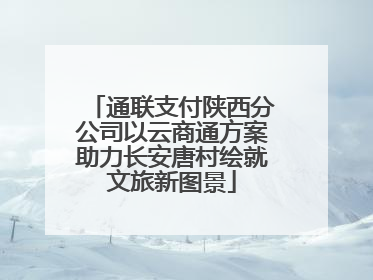通联支付陕西分公司以云商通方案助力长安唐村绘就文旅新图景