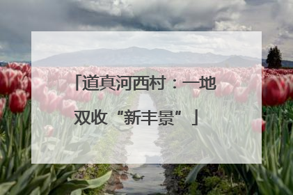 道真河西村：一地双收“新丰景”
