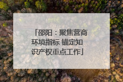 邵阳：聚焦营商环境指标 锚定知识产权重点工作