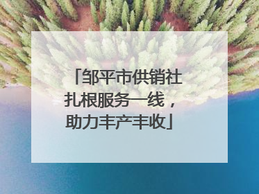 邹平市供销社扎根服务一线，助力丰产丰收