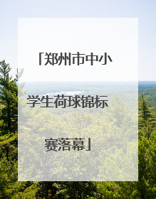 郑州市中小学生荷球锦标赛落幕