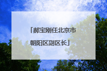 郝宝刚任北京市朝阳区副区长