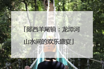 郧西羊尾镇：龙潭河山水间的欢乐盛宴
