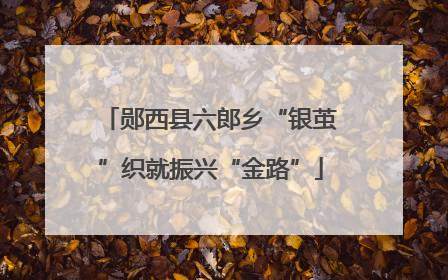 郧西县六郎乡“银茧”织就振兴“金路”