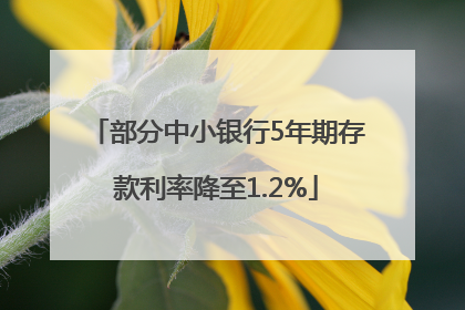 部分中小银行5年期存款利率降至1.2%